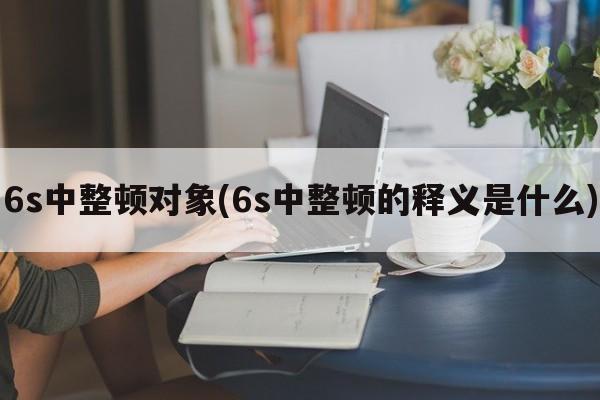 6s中整顿对象(6s中整顿的释义是什么)